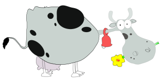Vache